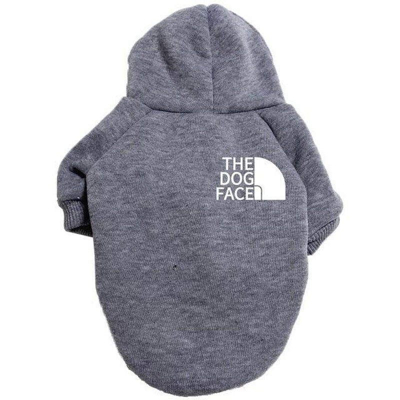 Pet Couture: Stylish Clothing for Large and Small Dogs