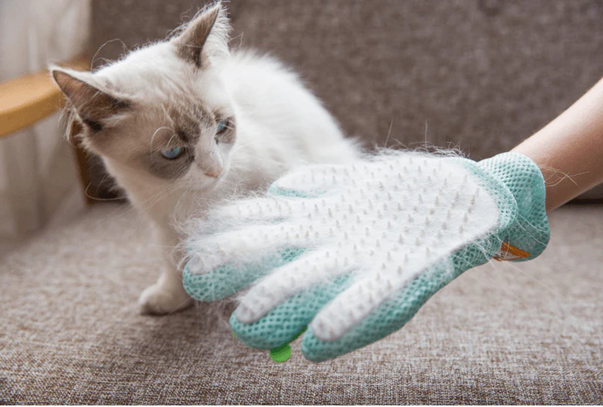 Pet Hair Magic Brush