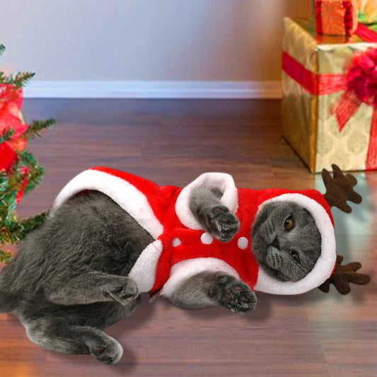 Festive Santa Claus Dog Costume for Small Dogs 